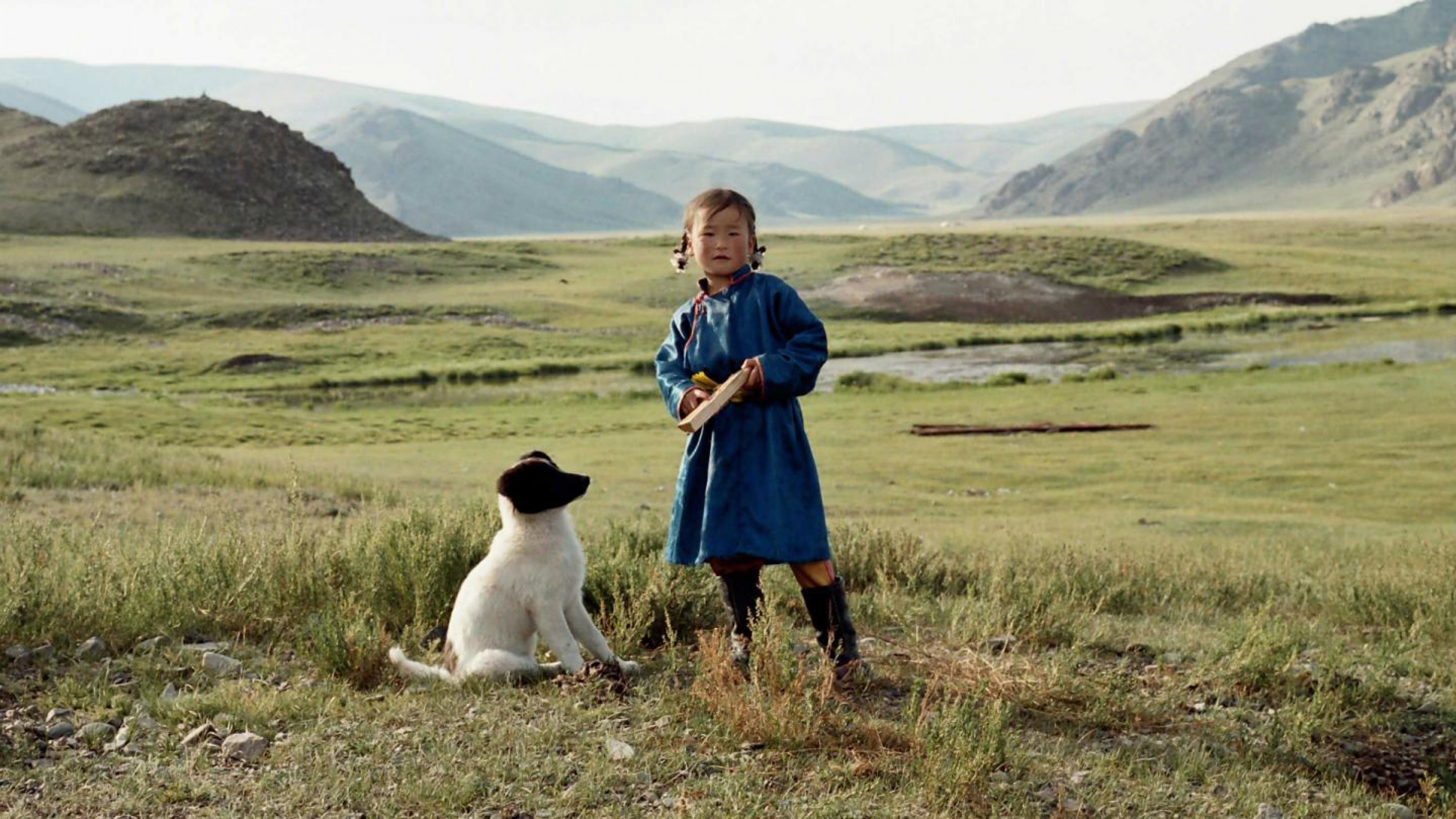 A film guide that looks at The Cave of the Yellow Dog (2005), exploring its