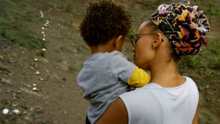 A film guide that uses the documentary 'A Story of Bones' (2022) to examine