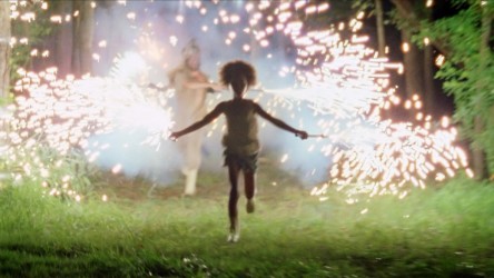 A film guide that looks at Beasts of the Southern Wild (2012), exploring to