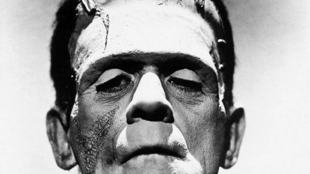 A film guide that looks at Frankenstein (1931). thumbnail