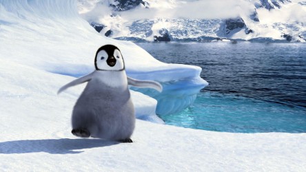 A film guide that looks at Happy Feet (2006), exploring topics such as diff