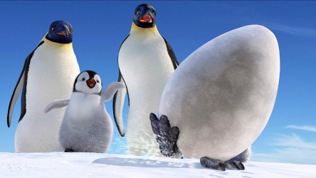 A film guide on Happy Feet (2006). thumbnail