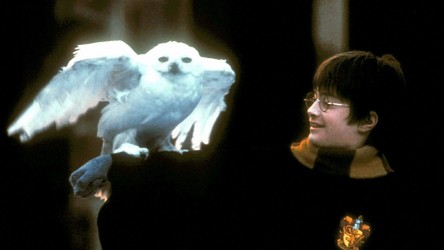 A film guide on Harry Potter and the Philosopher's Stone (2001). thumbnail