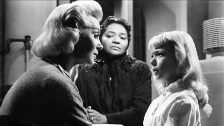 A film guide that uses 'Imitation of Life' to explore film genre, narrative