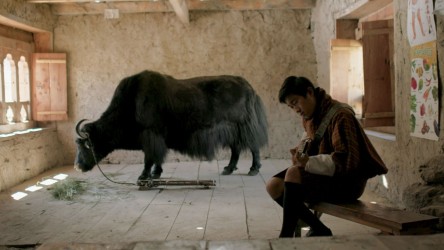 A film guide that uses 'Lunana: A Yak in the Classroom' to explore issues a