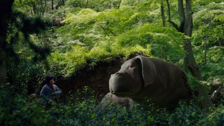 A film guide that looks at Okja (2017), discussing the ethical treatment of
