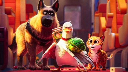 A film guide that looks at Pets on a Train (2025). thumbnail