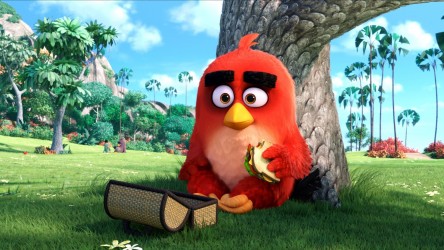 A film guide that looks at The Angry Birds Movie (2016), exploring topics s