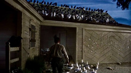 A resource that uses The Birds to explore and discuss the relationship betw