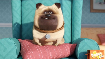 A short PowerPoint of activities focusing on The Secret Life of Pets. thumb