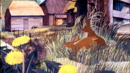 A film guide that uses the film 'Watership Down' (1978) to discuss allegori