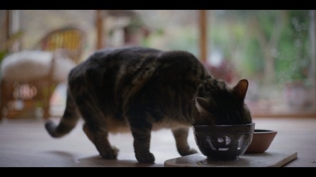 Trailer rated BBFC 15 thumbnail