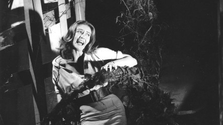 The Day of the Triffids
