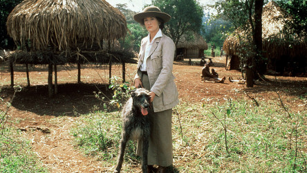 Out of Africa