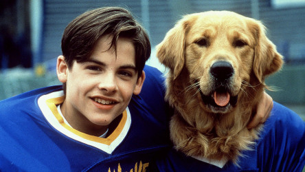 Air Bud - Golden Receiver