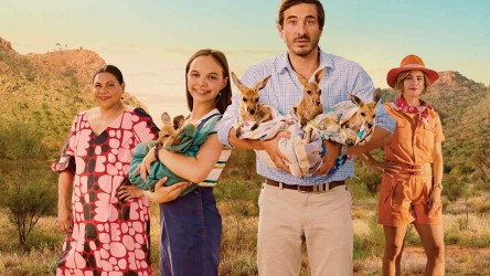 Kangaroo