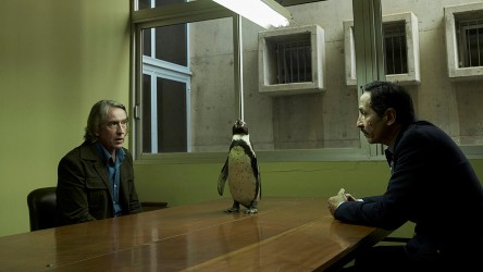 The Penguin Lessons