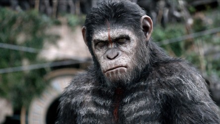 A film guide that looks at Dawn of the Planet of the Apes (2014), exploring