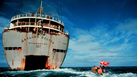 A film guide that looks at How to Change the World (2015), exploring its ke