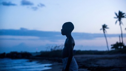 A film guide that looks at Moonlight (2016), exploring its key topics and t
