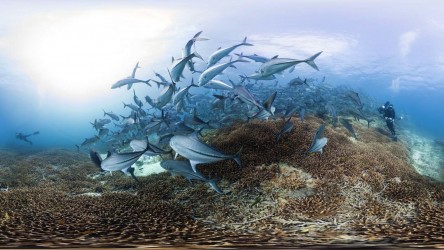 Activities to support engagement, debate and reflection alongside a screeni