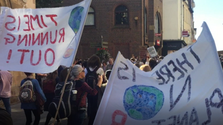 A film guide that looks at Conservation Conversations (2019), exploring its