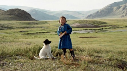 A film guide that looks at The Cave of the Yellow Dog (2005), exploring its