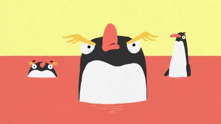 A resource exploring body image and mental wellbeing based on the short ani