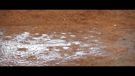 The rain arrives, showing us both its positive and negative effects. thumbn