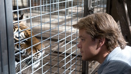 A film guide that looks at We Bought A Zoo (2011), exploring its key topics