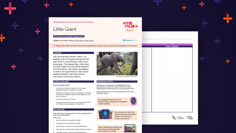 Little Giant
