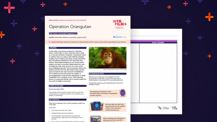 Operation Orangutan