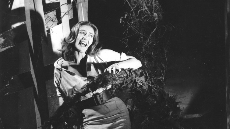 The Day of the Triffids