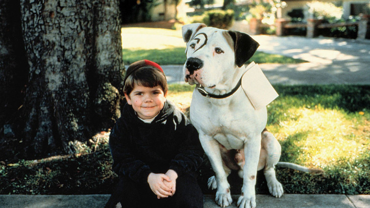 The Little Rascals