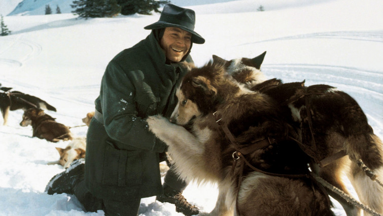 White Fang