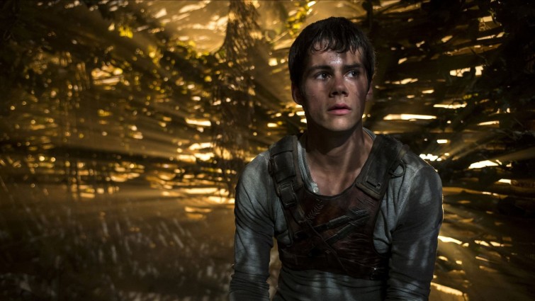 Film - The Maze Runner - Into Film