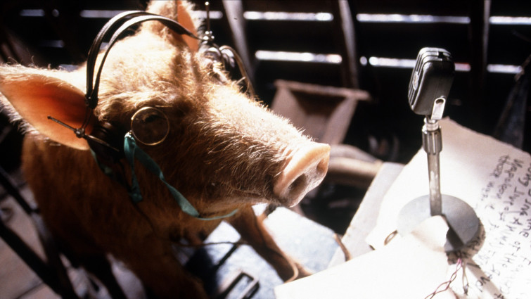 What Did Napoleon Do With The Puppies In Animal Farm