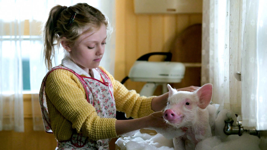 Charlotte's web stuffed animals clearance