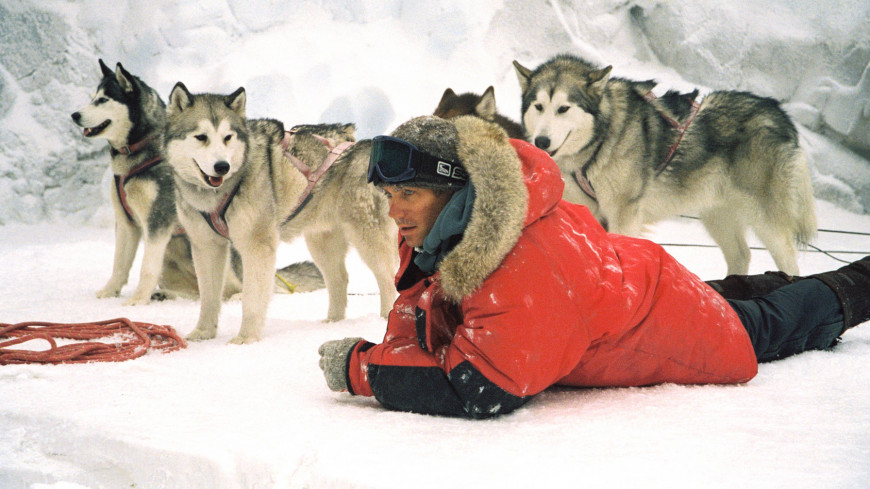 Film Eight Below Into Film