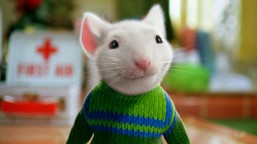 Rat top cartoon movie