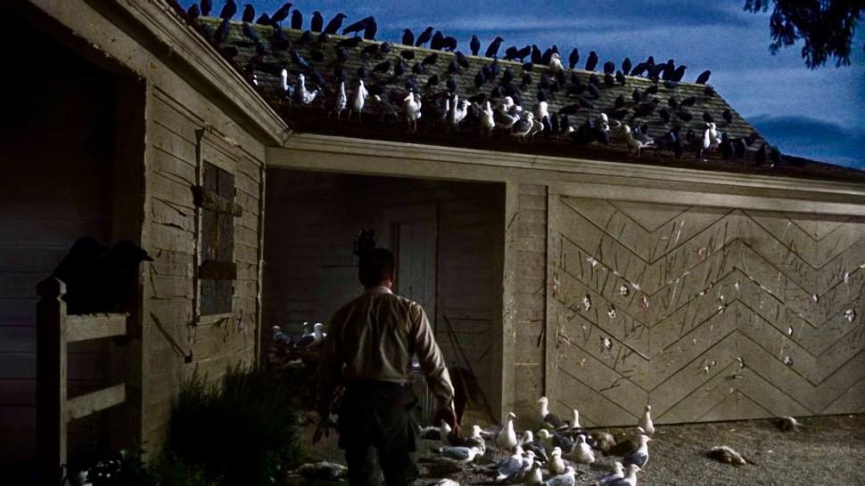 A resource that uses The Birds to explore and discuss the relationship betw