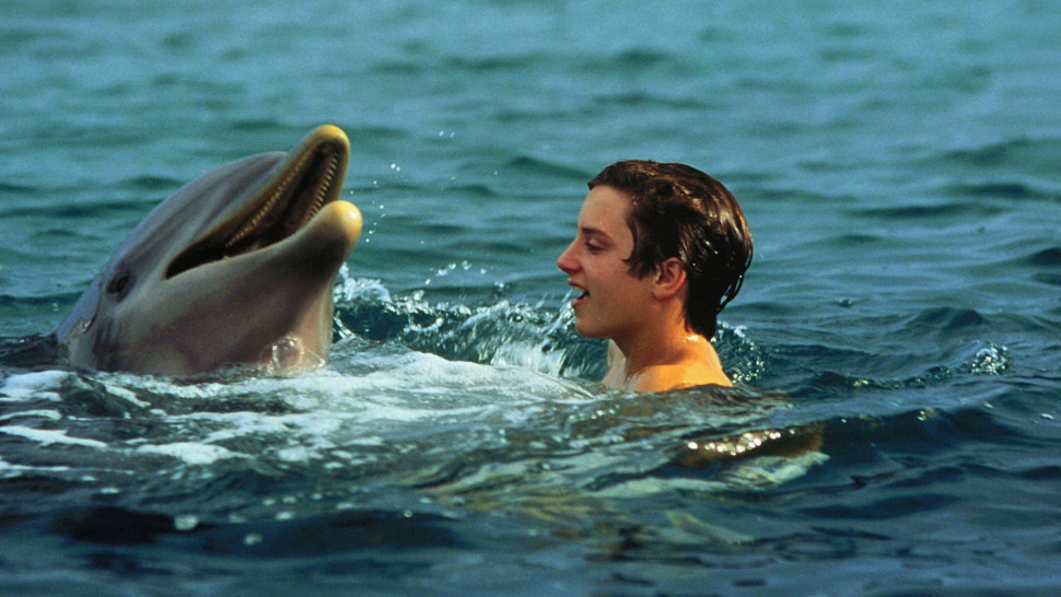 Flipper