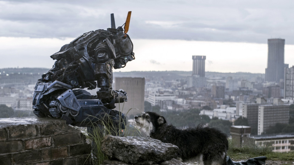 Chappie