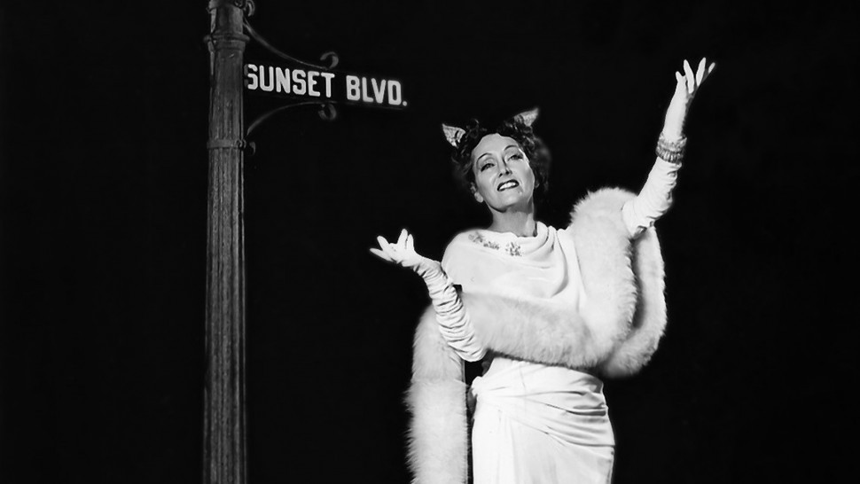 Film - Sunset Boulevard - Into Film