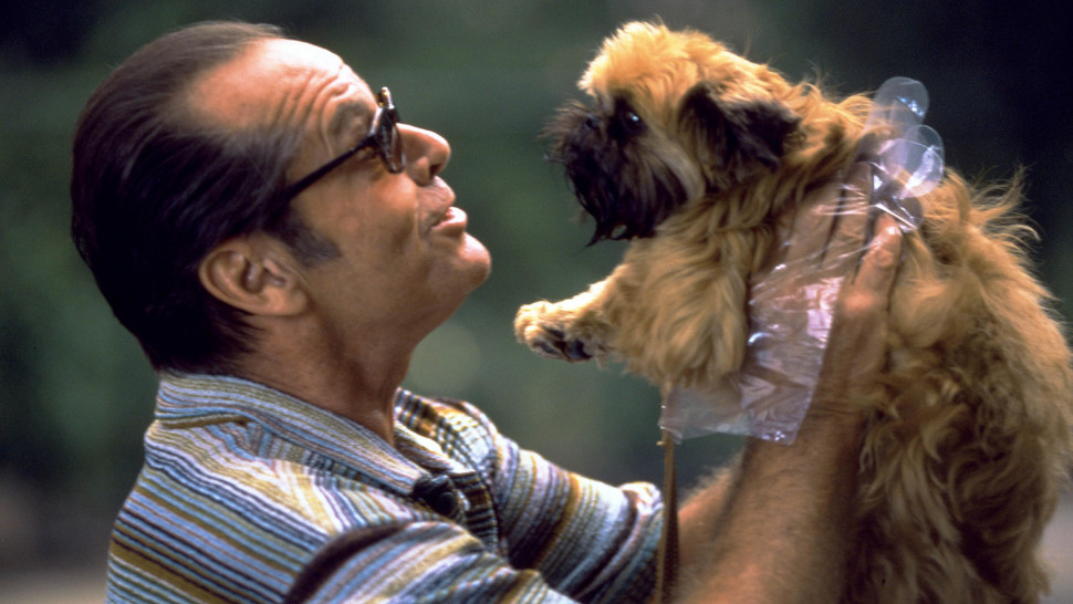 Jill The Dog Imdb