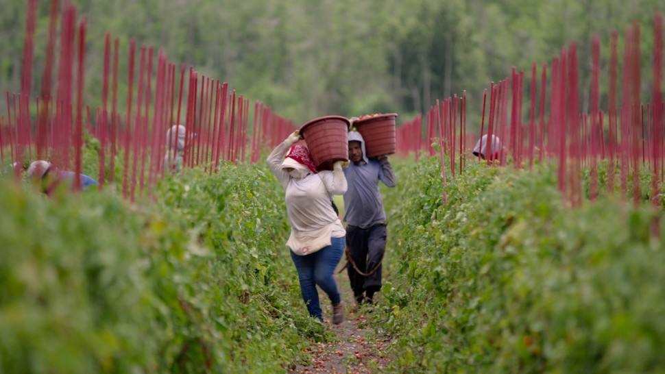 Food, Inc. 2