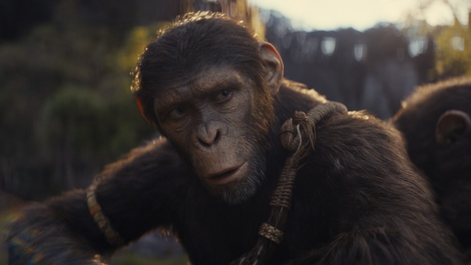 Kingdom of the Planet of the Apes