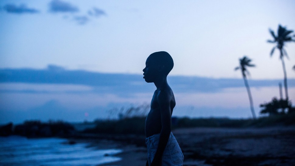 A film guide that looks at Moonlight (2016), exploring its key topics and t