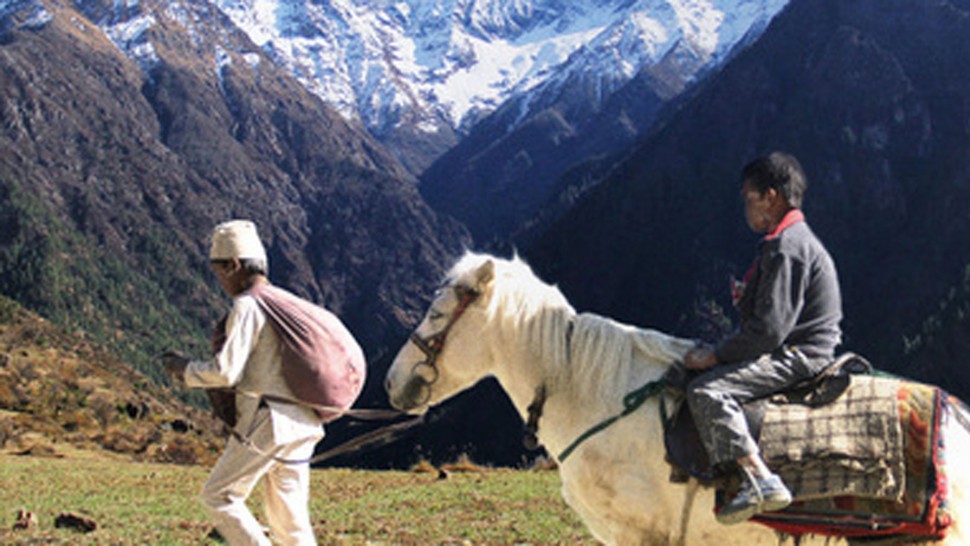 A film guide that looks at The Black Hen (2016), exploring its key topics a