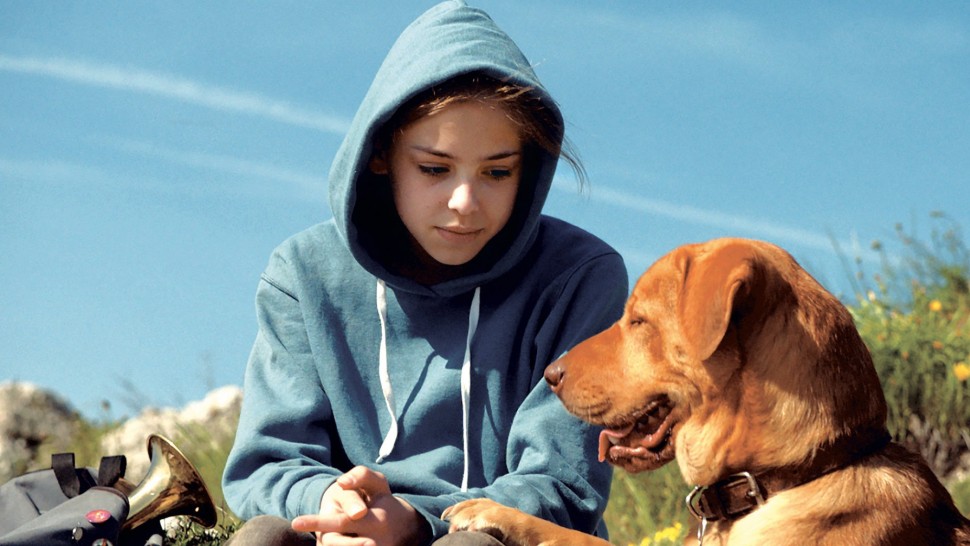 A film guide that looks at White God (2014), exploring its key topics and t